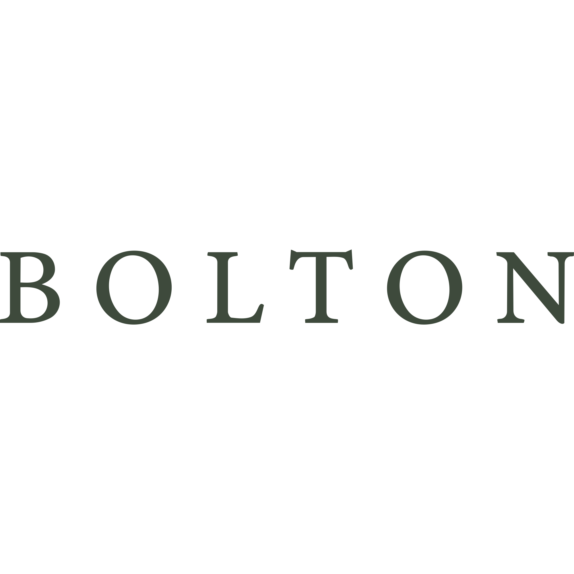 The Wordmark